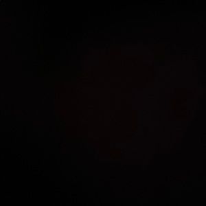 Meet your Posher, Barrett